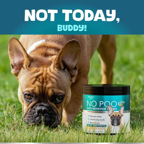 Vista 6 de Kinpur Pet Care Masticables para el comportamiento del perro con enzimas digestivas y probióticos para la salud intestinal, equilibrio de levaduras