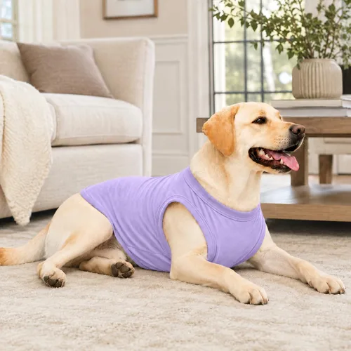 Vista 7 de Ropa para mascotas 2018, ropa para perros, camiseta en blanco, chalecos para perros pequeños, medianos y grandes, 100% algodón, chaleco de verano