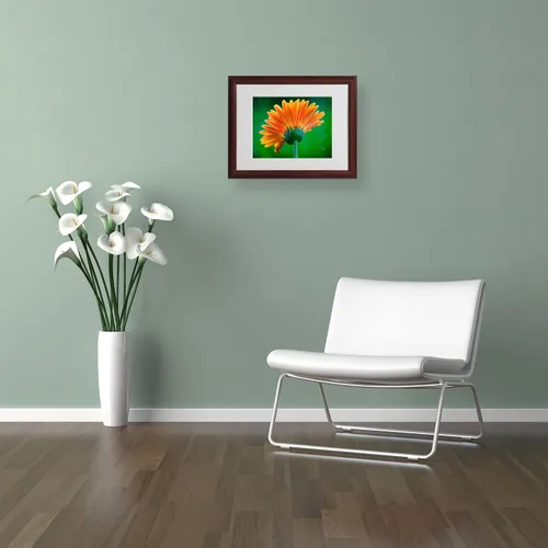 Vista 3 de Trademark Fine Art Lois Bryan - Lienzo enmarcado con marco de madera, 11 x 14 pulgadas