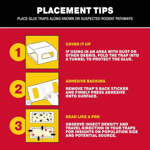 Vista 9 de Catchmaster Juego de tablas de pegamento para ratones e insectos, 36 tableros de pegamento y 30 trampas de pegamento para arañas e insectos, trampa
