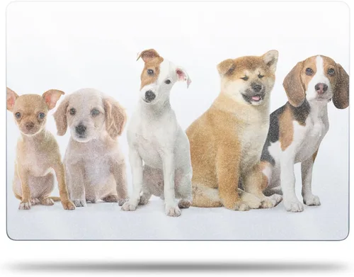 Vista 9 de MightySkins - Funda de fibra de carbono compatible con Apple MacBook Air de 15 pulgadas M2 (2023), kit de envoltura completa, resorte prismático